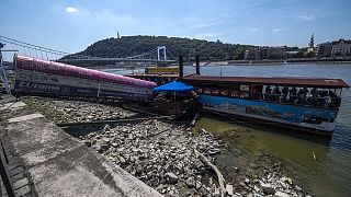 «Χάθηκαν τα κύματα» στο Δούναβη  