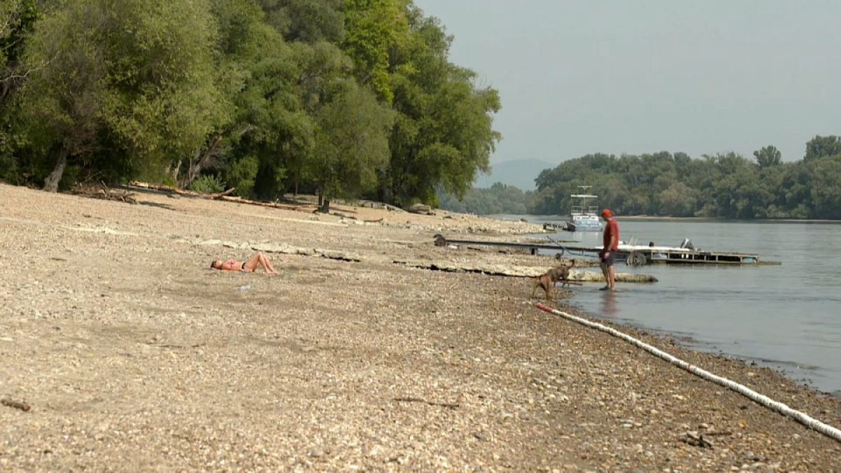 Donau-Niedrigwasser: Ungarns Schifffahrt sitzt auf dem Trockenen