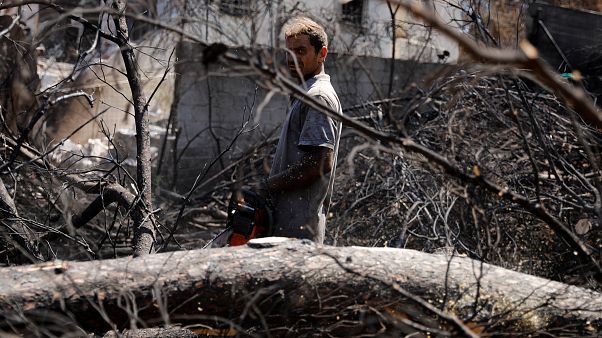 Αυτοψία στο Μάτι, έναν μήνα μετά τη φονική πυρκαγιά Αυτοψία στο Μάτι, έναν μήνα μετά τη φονική πυρκαγιά