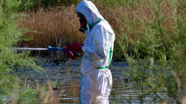 Συστάσεις της αμερικανικής πρεσβείας για τον ιό του Δυτικού Νείλου Συστάσεις της αμερικανικής πρεσβείας για τον ιό του Δυτικού Νείλου