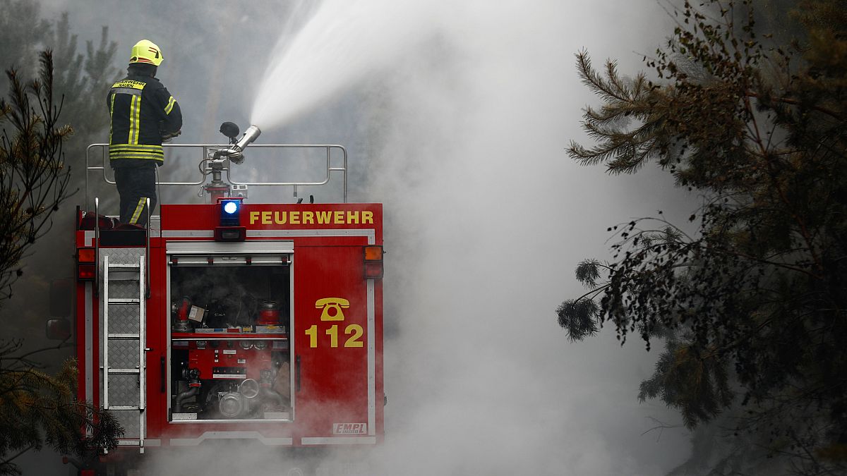 Firefighters help to put out a forest fire near Treuenbrietzen, Germany 