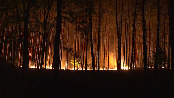 Incêndio nos arredores de Berlim ameaça casas e pessoas Incêndio nos arredores de Berlim ameaça casas e pessoas