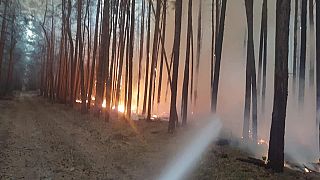 In pictures: Hundreds evacuated near Berlin as forest fire threatens villages