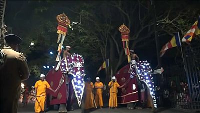 Impressionnante procession au Sri Lanka