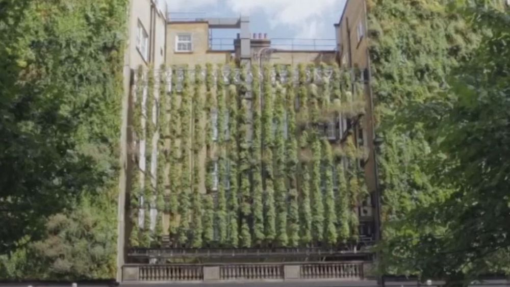 Watch: Hotel in London goes green
