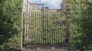 Watch: Hotel in London goes green