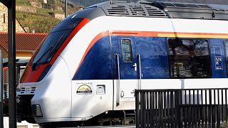 Mehr als 20 Passagiere beteiligen sich an Massenschlägerei in Zug von Freiburg nach Basel
