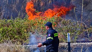 Πυρκαγιά στις Ροβιές Ευβοίας- Δεν απειλούνται κατοικίες