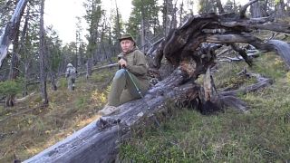 Putins Urlaub in der Natur: "Wow! Das ist ein Märchenwald"