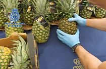 De la cocaïne dans des ananas