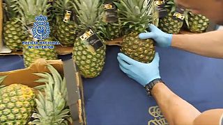 Watch: Spanish police find cocaine in hollowed pineapples