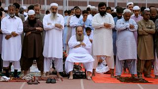 بازیکن کریکت پاکستانی برای سر سیاستمدار اسلام ستیز هلندی جایزه تعیین کرد