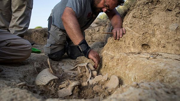 İspanya'da idam edilen 100 kişinin gömüldüğü toplu mezar bulundu İspanya'da idam edilen 100 kişinin gömüldüğü toplu mezar bulundu