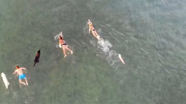 شاهد: سباق سباحة مشترك بين كلاب وأصحابها في كرواتيا 