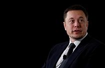  Elon Musk reignites 'pedo' claims against UK cave diver