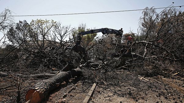Στους 98 οι νεκροί από την πυρκαγιά στο Μάτι Στους 98 οι νεκροί από την πυρκαγιά στο Μάτι