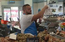 Der “Jakobsmuschel-Krieg“ – oder warum sich französische Fischer auf den „Brexit“ freuen