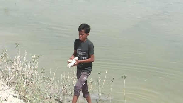 Epidemia de cólera ameaça Iraque Epidemia de cólera ameaça Iraque