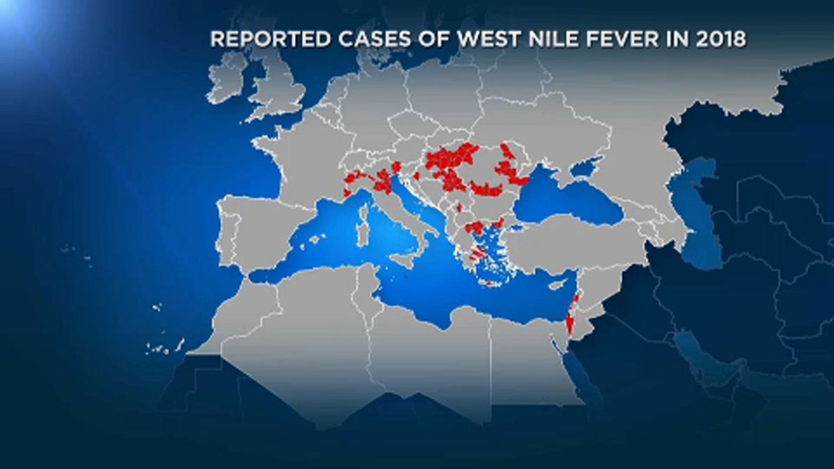 El virus de Nilo Occidental sigue azotando el centro y sureste de Europa