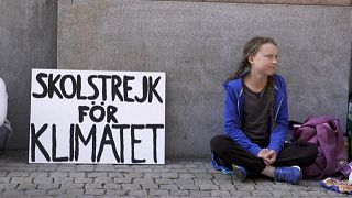 Une collégienne suédoise fait grève pour le climat