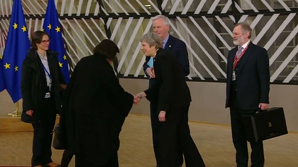Тереза Мэй меж двух огней Тереза Мэй меж двух огней