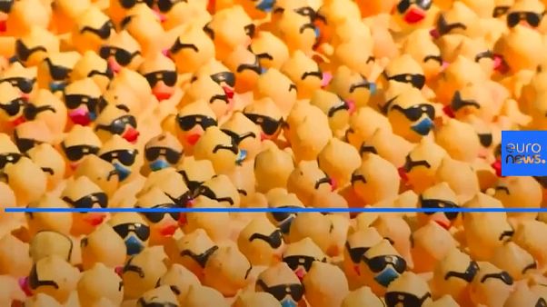 charity rubber ducks