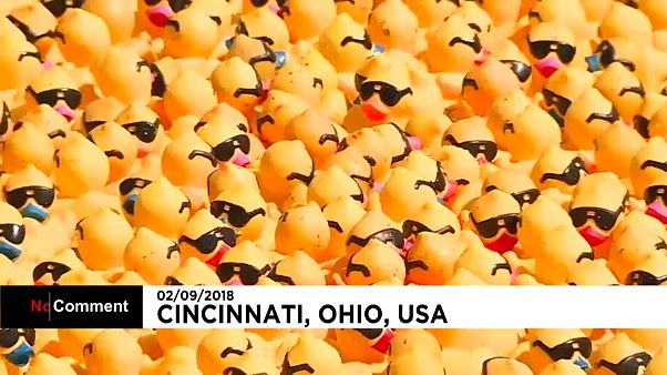 Uma regata muito moderna em Cincinatti Uma regata muito moderna em Cincinatti