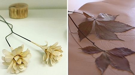 Breathing life into old books & embossing the natural world onto leather