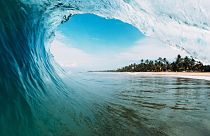 Monster waves surfer