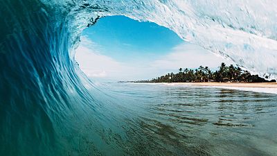 Monster waves surfer Monster waves surfer