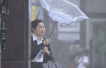 По следам тайфуна "Джеби"