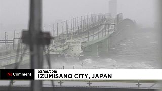 Japan: Typhoon Jebi makes landfall in Tokushima prefecture