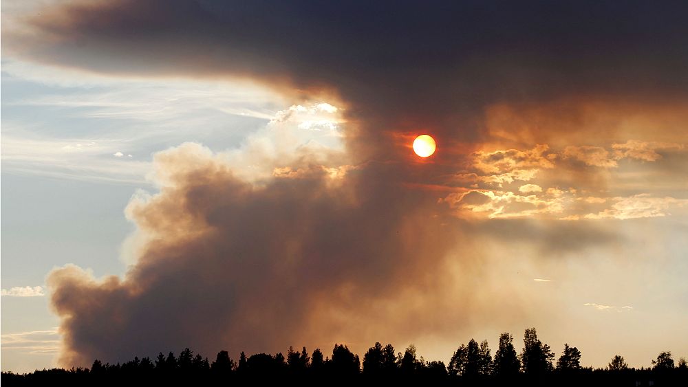 Climate to be key voter issue for first time in Europe as Swedes head to polls
