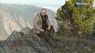 Vladimir 'Scarer of Bears' Putin gets reality state TV show