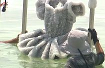 Ballerina tutu emerges as dazzling art from Dead Sea