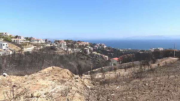 Мати: после пожара Мати: после пожара