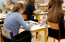 Belgian teachers who find French conjugation rule 'absurd' want to change it