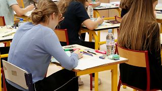Belgian teachers who find French conjugation rule 'absurd' want to change it