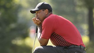 Tiger Woods is bekerült az amerikai csapatba