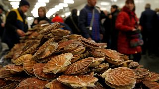 Why scallops are a symbol of European integration, not division