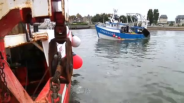 Los pescadores británicos y franceses ponen fin a la "guerra de la vieira" Los pescadores británicos y franceses ponen fin a la "guerra de la vieira"