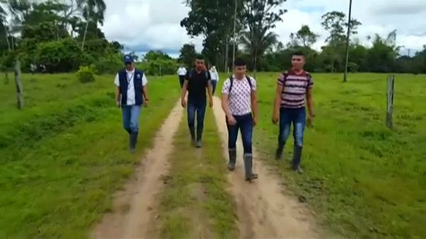 El ELN libera a tres militares secuestrados El ELN libera a tres militares secuestrados
