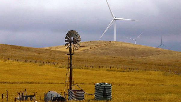 Luchar contra el cambio climático reporta beneficios billonarios Luchar contra el cambio climático reporta beneficios billonarios