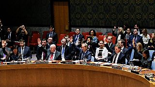 Στο Συμβούλιο Ασφαλείας του ΟΗΕ η υπόθεση Σκριπάλ