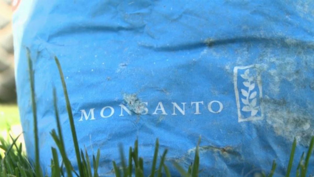 'Explosive' documents about Monsanto in Europe