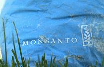 'Explosive' documents about Monsanto in Europe