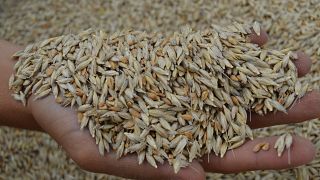 Dünyanın kaç günlük buğdayı kaldı? Tarım Bakanlığı açıklaması