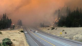 Video - Kaliforniya'da 3 gündür süren yangınlar yerleşim birimlerini tehdit ediyor