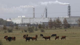 Bezárt a súlyosan szennyező krími gyár