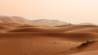 دراسة: الصحراء الكبرى تتحول إلى مساحات خضراء عن طريق الشمس والرياح ولكن..